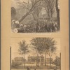 General views, New York Hospital