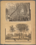 General views, New York Hospital