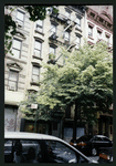 Block 520: Spring Street between Elizabeth Street and Bowery (north side)