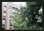 Block 521: Prince Street between Elizabeth Street and Bowery (north side)