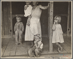 Resettled sharecropper's family. Maria Plantation, Arkansas
