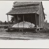 Cotton on porch of sharecropper's home, Maria plantation, Arkansas