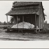 Cotton on porch of sharecropper's home, Maria plantation, Arkansas