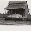 Cotton on porch of sharecropper's home, Maria plantation, Arkansas