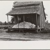 Cotton on porch of sharecropper's home, Maria plantation, Arkansas