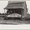 Cotton on porch of sharecropper's home, Maria plantation, Arkansas