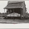 Cotton on porch of sharecropper's home, Maria plantation, Arkansas