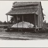 Cotton on porch of sharecropper's home, Maria plantation, Arkansas