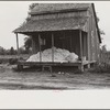 Cotton on porch of sharecropper's home, Maria plantation, Arkansas