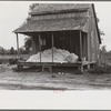 Cotton on porch of sharecropper's home, Maria plantation, Arkansas