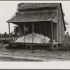 Cotton on porch of sharecropper's home, Maria plantation, Arkansas