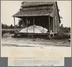 Cotton on porch of sharecropper's home, Maria plantation, Arkansas