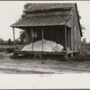 Cotton on porch of sharecropper's home, Maria plantation, Arkansas