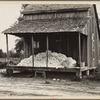 Cotton on porch of sharecropper's home, Maria plantation, Arkansas