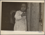 Child of negro rehabilitation family. Arkansas