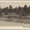 Reforestation.Ozark Mountains, Arkansas