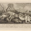 A Dead Cat and Game