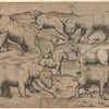(from: Ex veteri hypocausto reperto. Tre Tavole di diversi animali pigliate da pitture antiche)