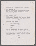 Screenplay excerpt