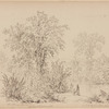 Sudbury River below Saxonville