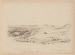 Plum Island Beach near Newbury port, Mass.