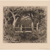 A rustic bridge over a brook shaded by trees