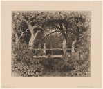 A rustic bridge over a brook shaded by trees
