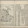 Mu dan ting huan hun ji