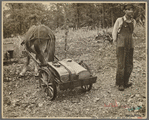 Ozark mountaineer, Arkansas
