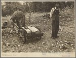 Ozark mountaineer, Arkansas