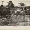 Scene in Smithland, Kentucky