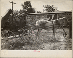 Scene in Smithland, Kentucky