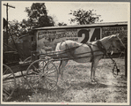 Scene in Smithland, Kentucky