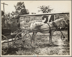 Scene in Smithland, Kentucky