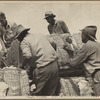 Loading cotton, Natchez, Mississippi