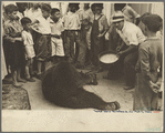 Street scene [with trained bear], New Orleans, Louisiana