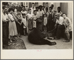 Street scene [with trained bear], New Orleans, Louisiana