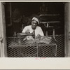 Scene in New Orleans, Louisiana. A street tailor