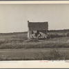Sharecropper's home. Arkansas