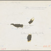 Liberty, unincorporated, Scotts Run, West Virginia