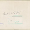 Liberty, unincorporated, Scotts Run, [Monongalia County,] West Virginia. Negro family living in Moose Hall