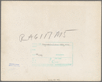 Liberty, unincorporated, Scotts Run, [Monongalia County,] West Virginia. Negro family living in Moose Hall