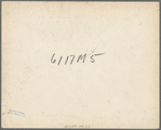 Liberty, unincorporated, Scotts Run, [Monongalia County,] West Virginia. Negro family living in Moose Hall
