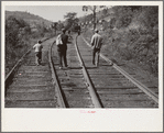 Scotts Run, [Monongalia County,] West Virginia, walking into town for relief food