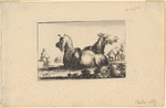 Deux chèvres couchés
