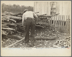 Sharecropper. Pulaski County, Arkansas