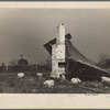 Remains of old Gulf States paper mill, Plaquemines Parish, Louisiana