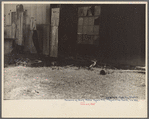 Remains of old Gulf States paper mill, Plaquemines Parish, Louisiana