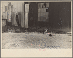 Remains of old Gulf States paper mill, Plaquemines Parish, Louisiana