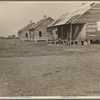 Deserted houses, Plaquemines Parish, Louisiana